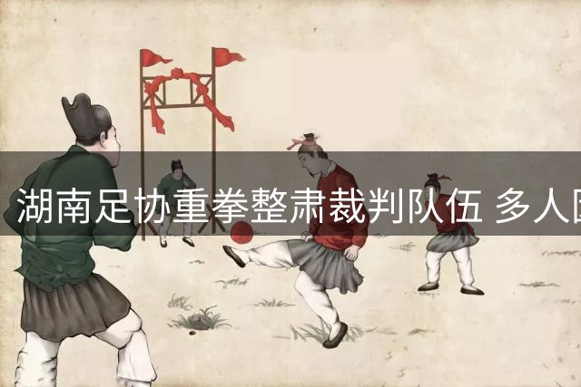 湖南足协重拳整肃裁判队伍 多人因严重误判遭停赛处罚