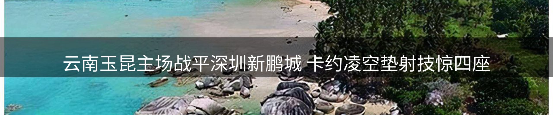 资讯动态