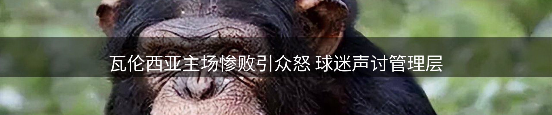 资讯记录